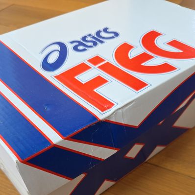 Ronnie Fieg × Asics EX89 "Kithstrike"