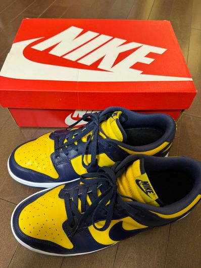 Nike Dunk Low "Michigan"