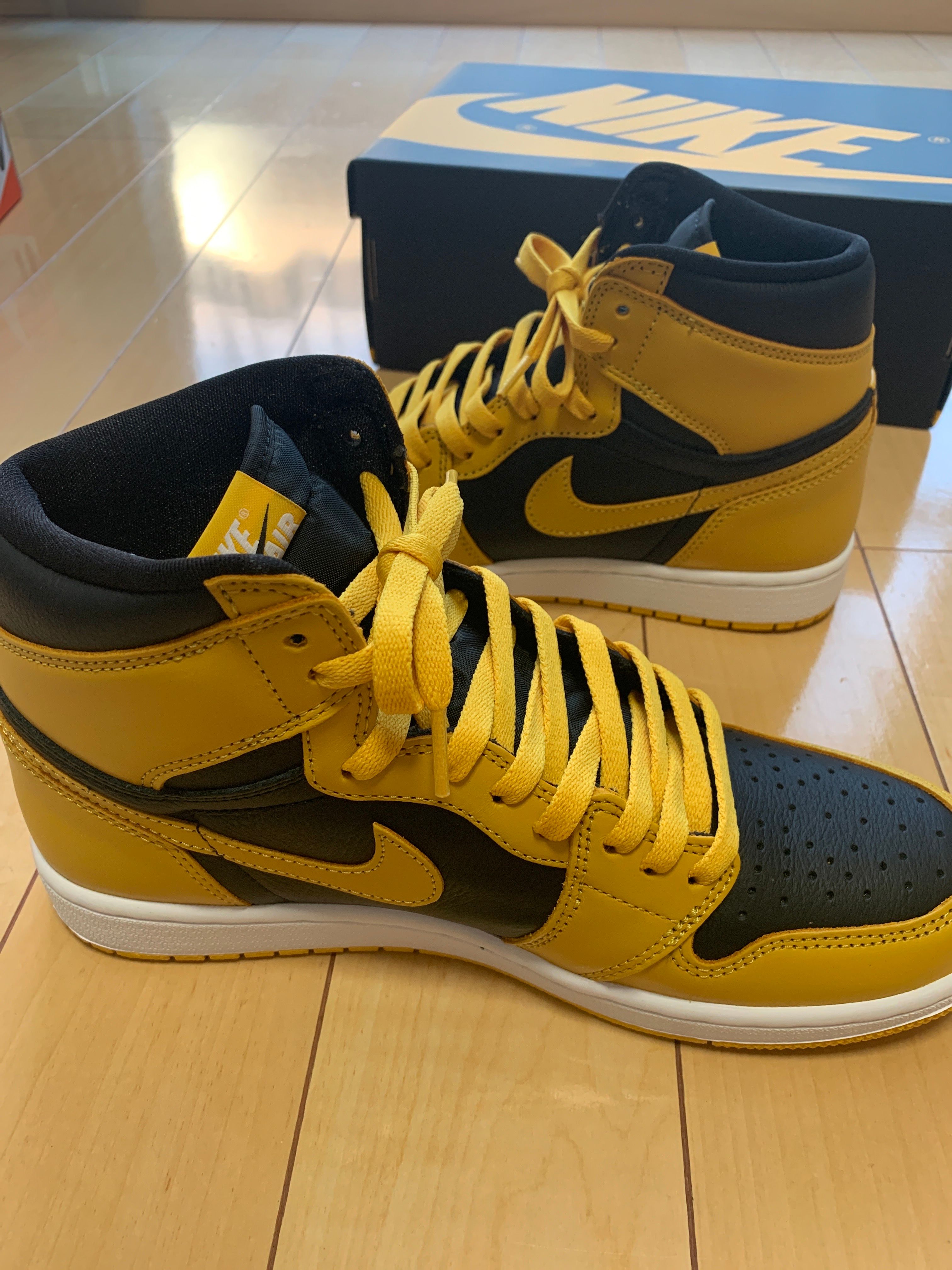Nike Air Jordan 1 High OG "Pollen" 