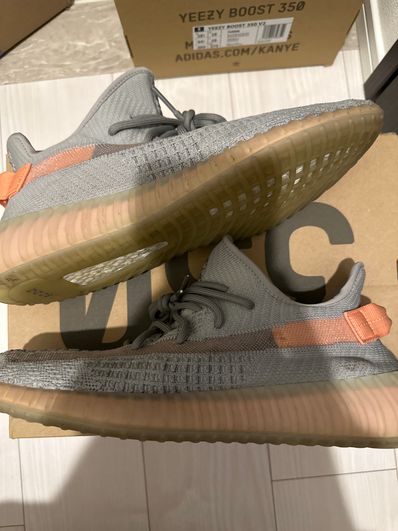Adidas yeezy true form iii deals