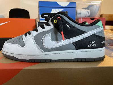 Nike SB Dunk Low Pro "VX1000 Camcorder"