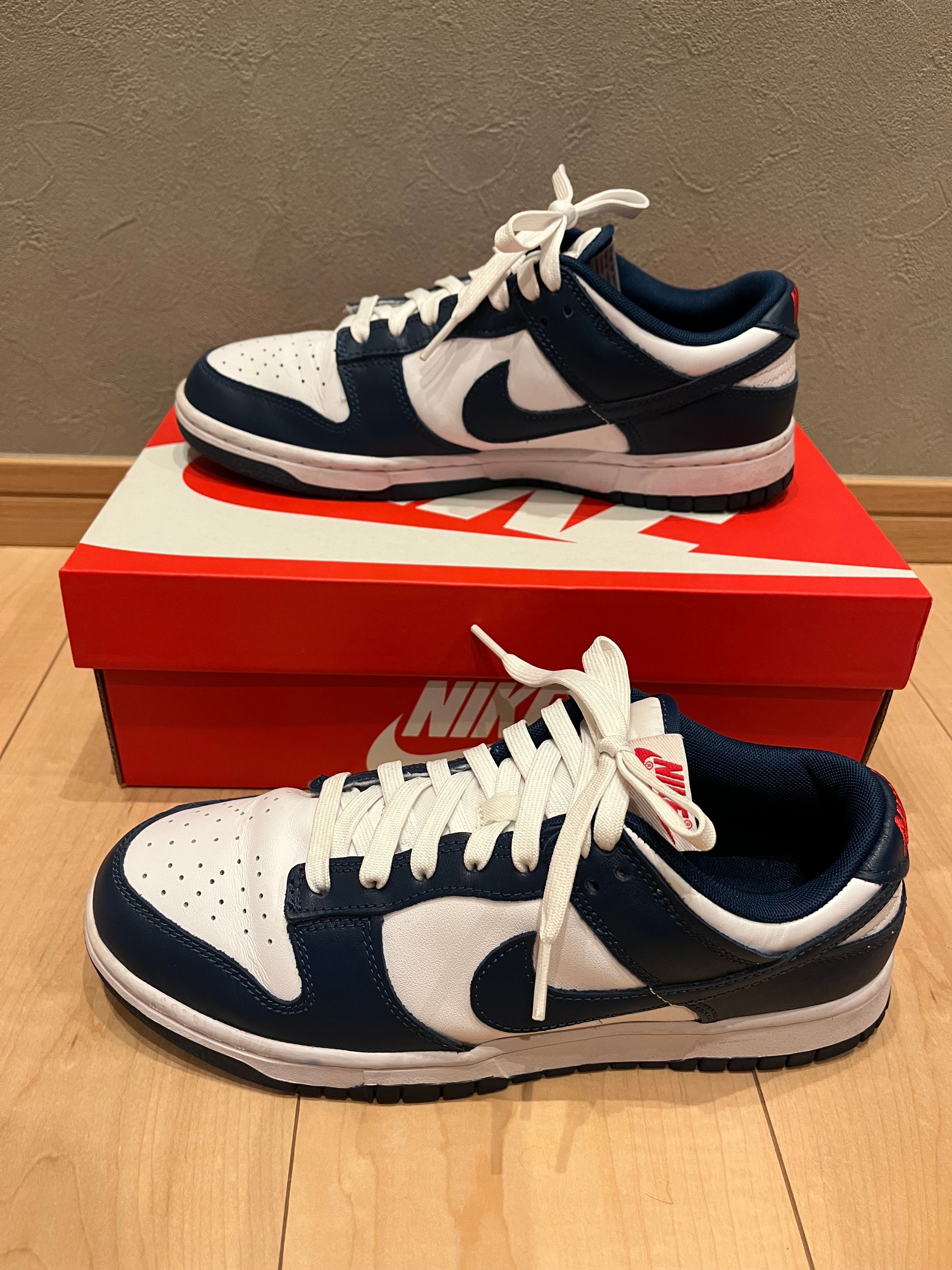 Nike Dunk Low "Valerian Blue"