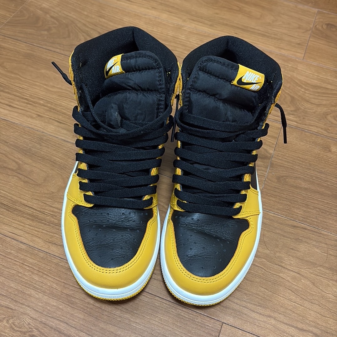 Nike Air Jordan 1 High OG "Pollen"