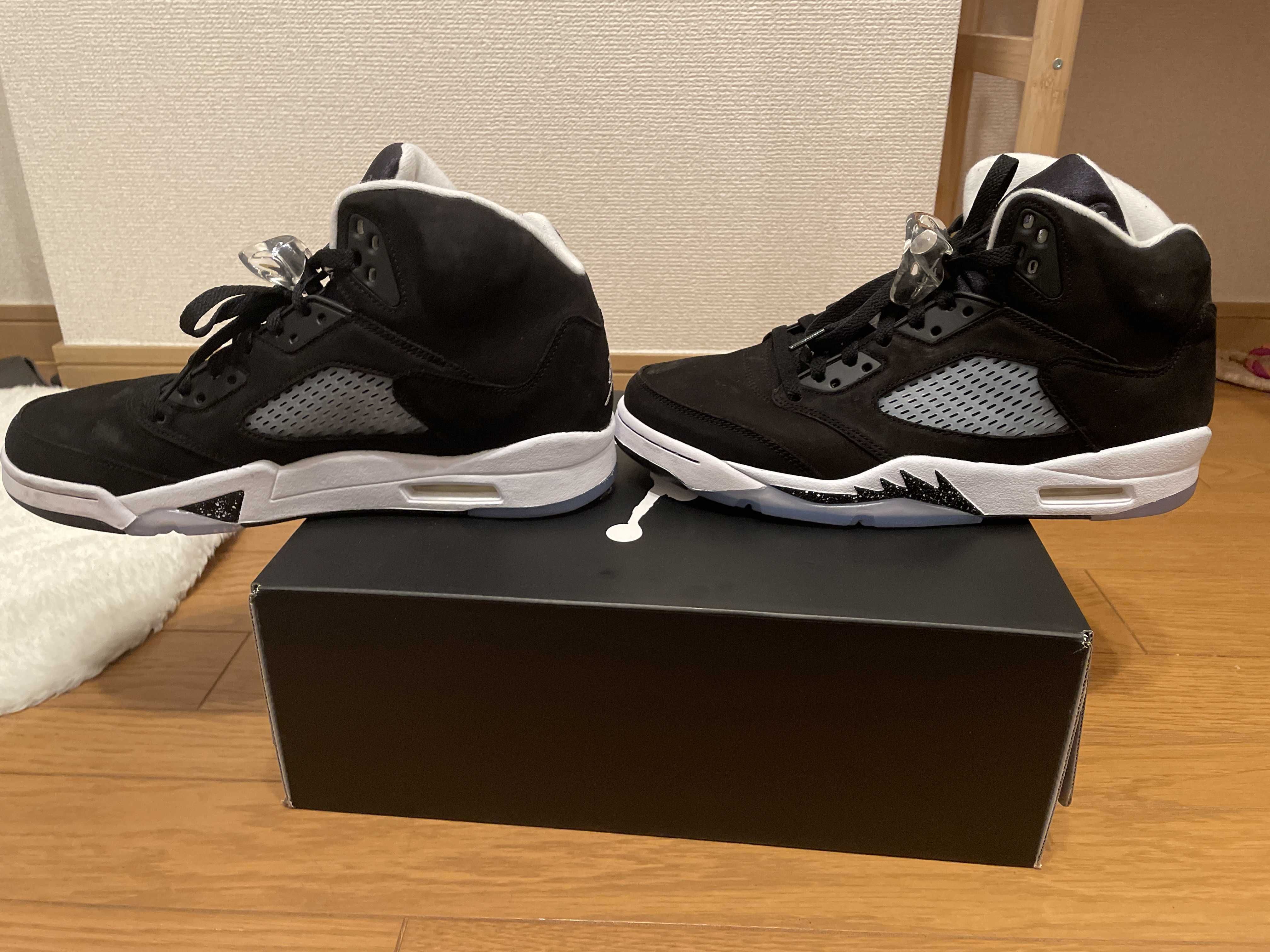 Nike Air Jordan 5 "Moonlight" (2021)