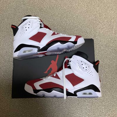Nike Air Jordan 6 "Carmine" (2021)