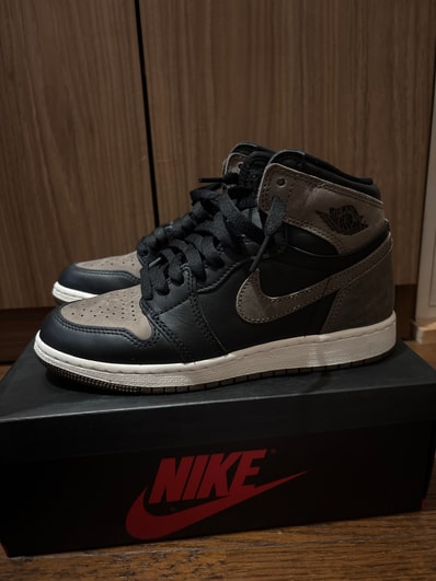 Nike Air Jordan 1 Retro High OG "Palomino"