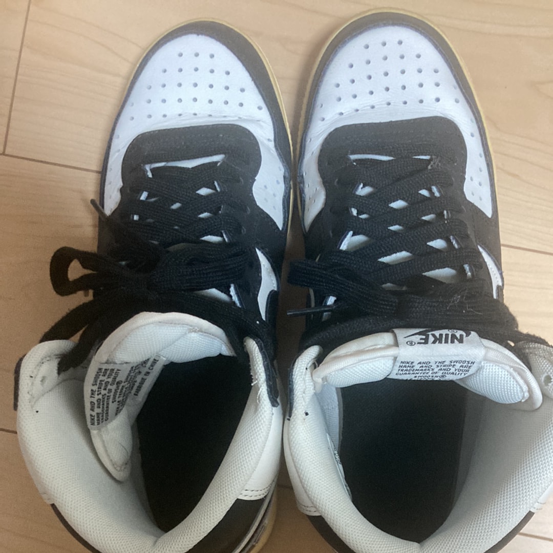 Nike Terminator High "Black and Phantom"