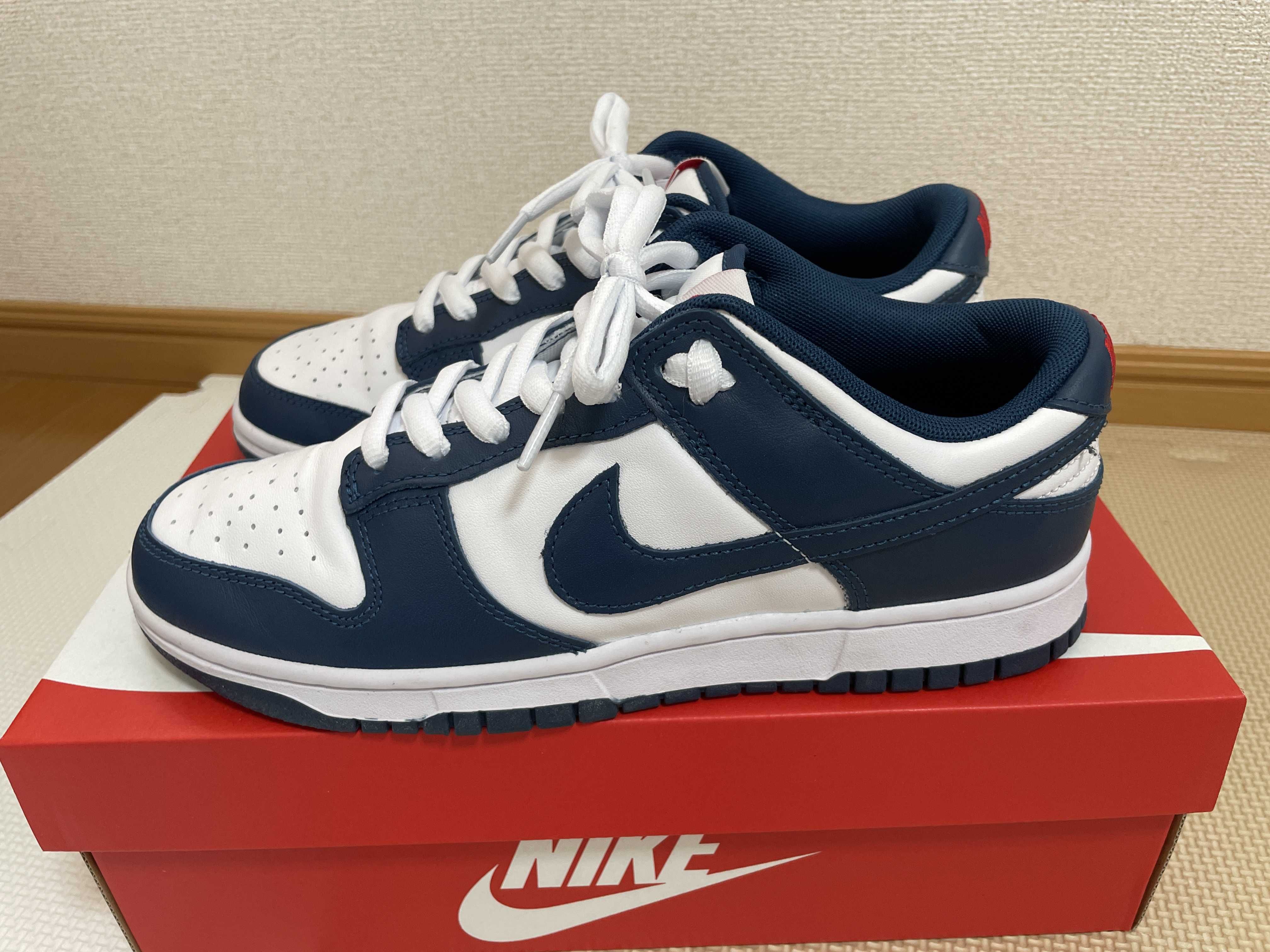 Nike Dunk Low "Valerian Blue"