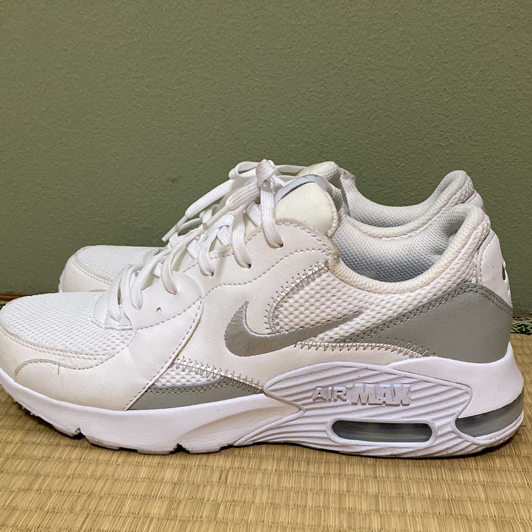 Nike Women's Air Max Excee 