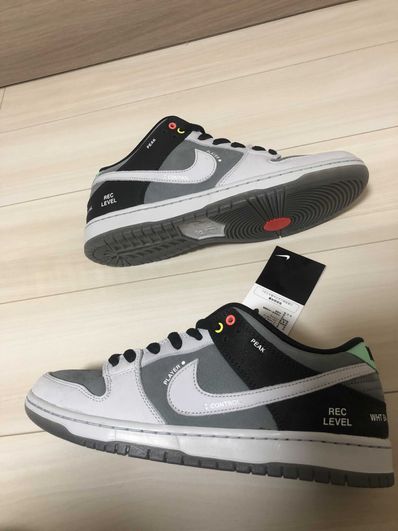 Nike SB Dunk Low Pro "VX1000 Camcorder"