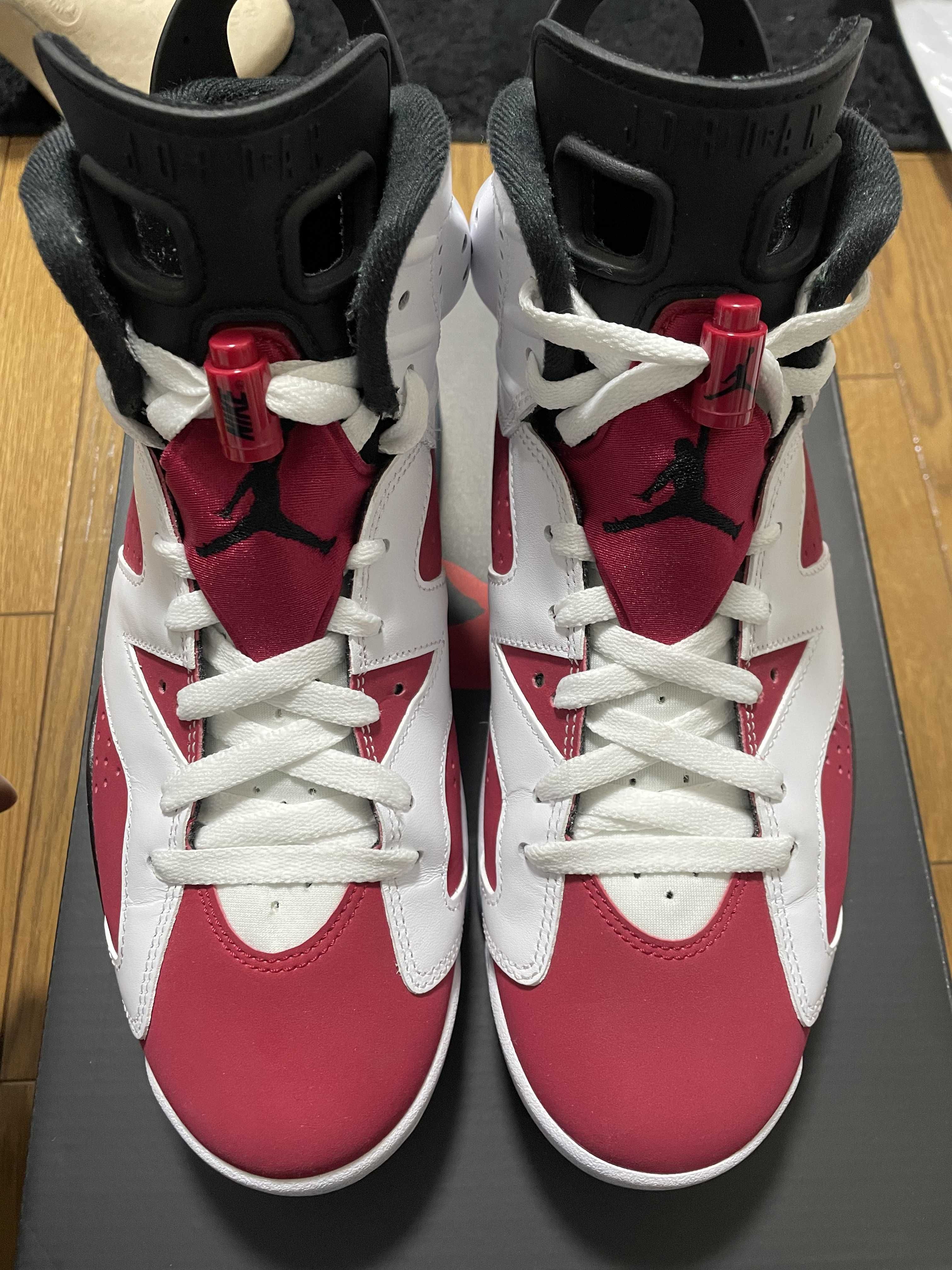 Nike Air Jordan 6 "Carmine" (2021)