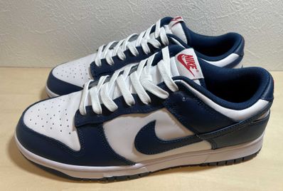 Nike Dunk Low "Valerian Blue"