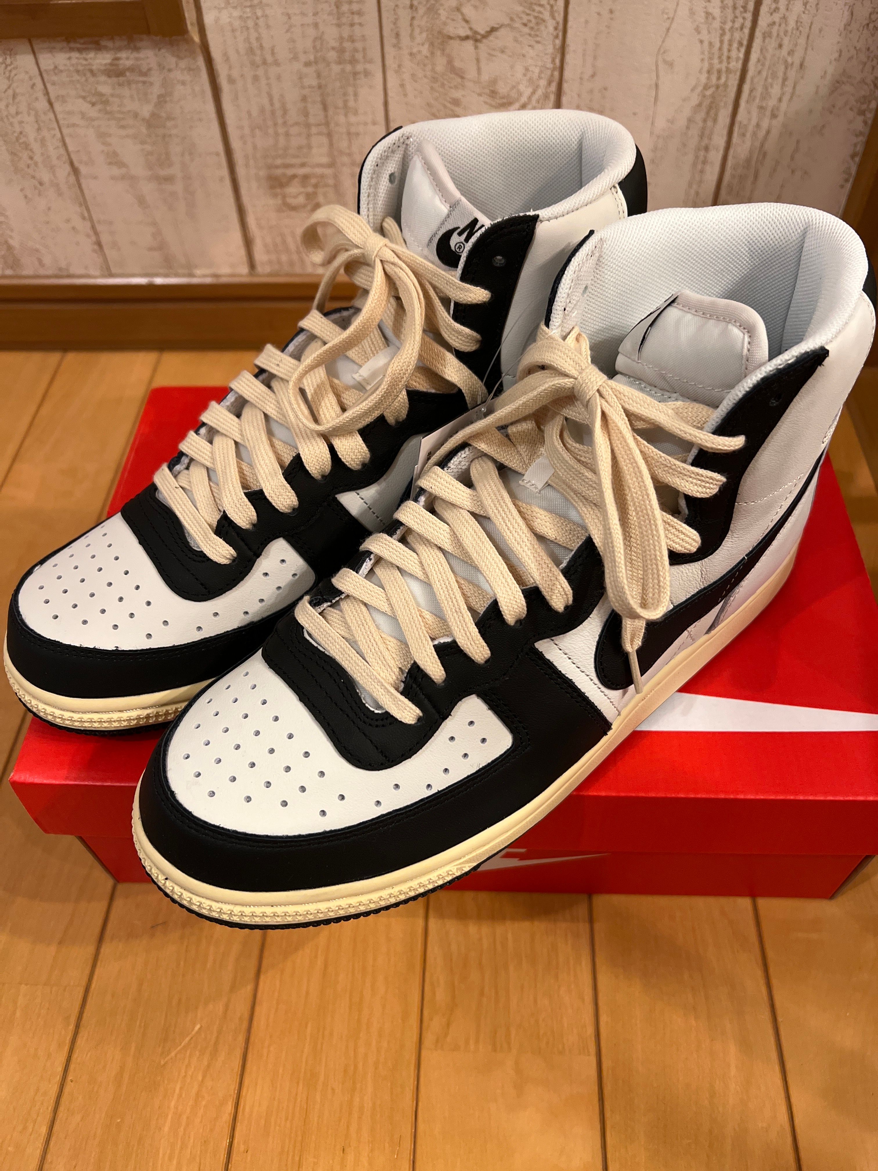 Nike Terminator High "Black and Phantom"