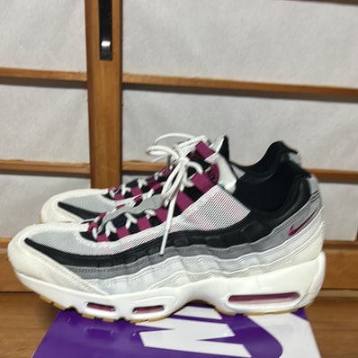 Nike SB Air Max 95 "Summit White/Cactus Flower"