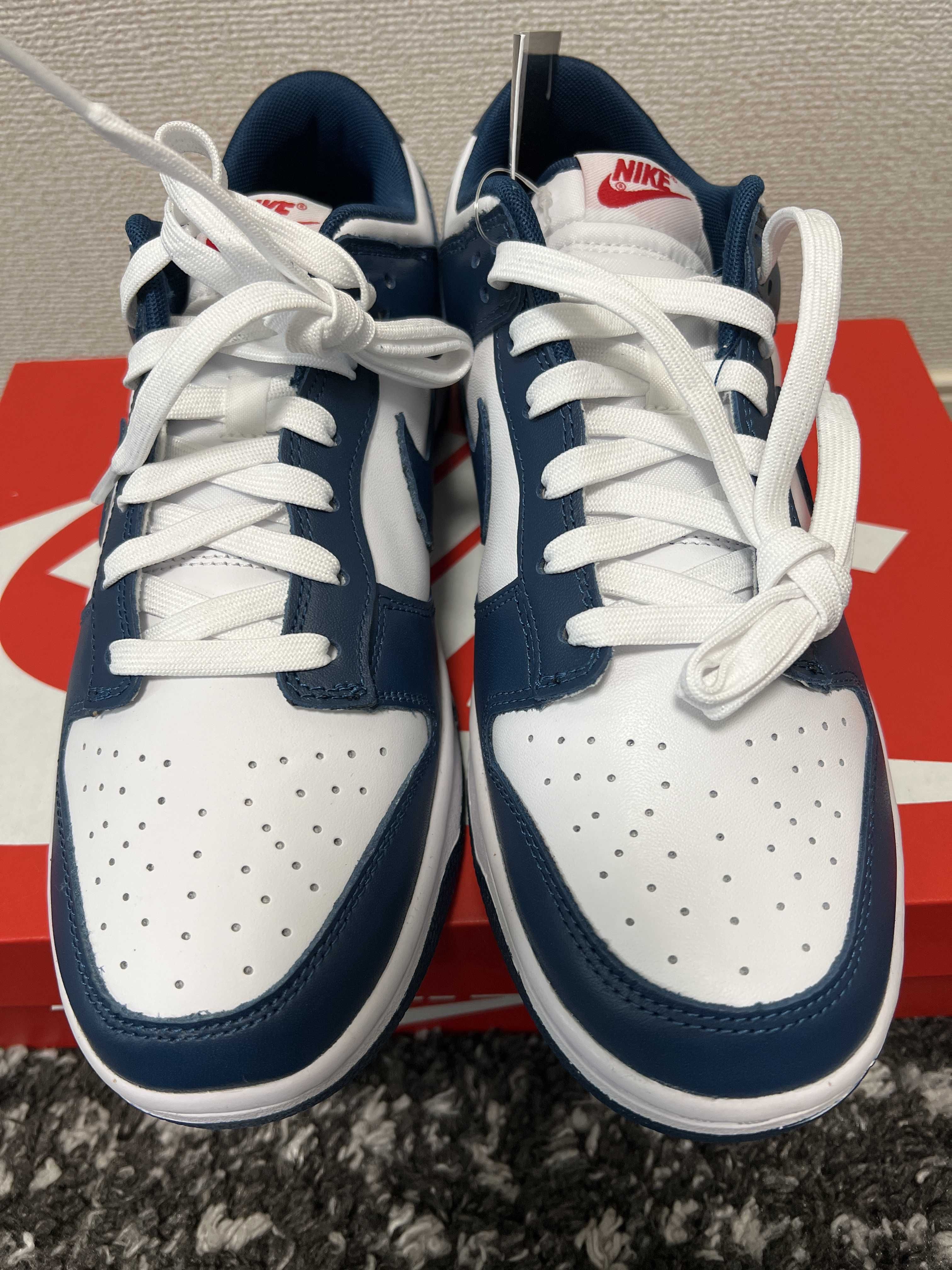 Nike Dunk Low "Valerian Blue"