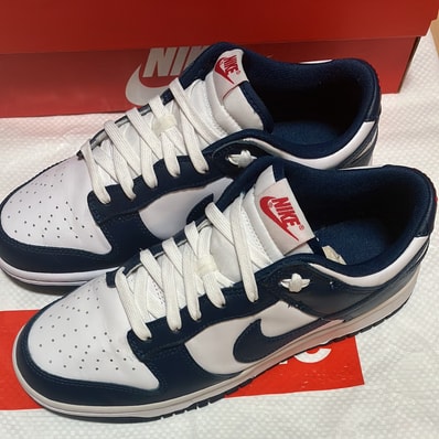 Nike Dunk Low "Valerian Blue"