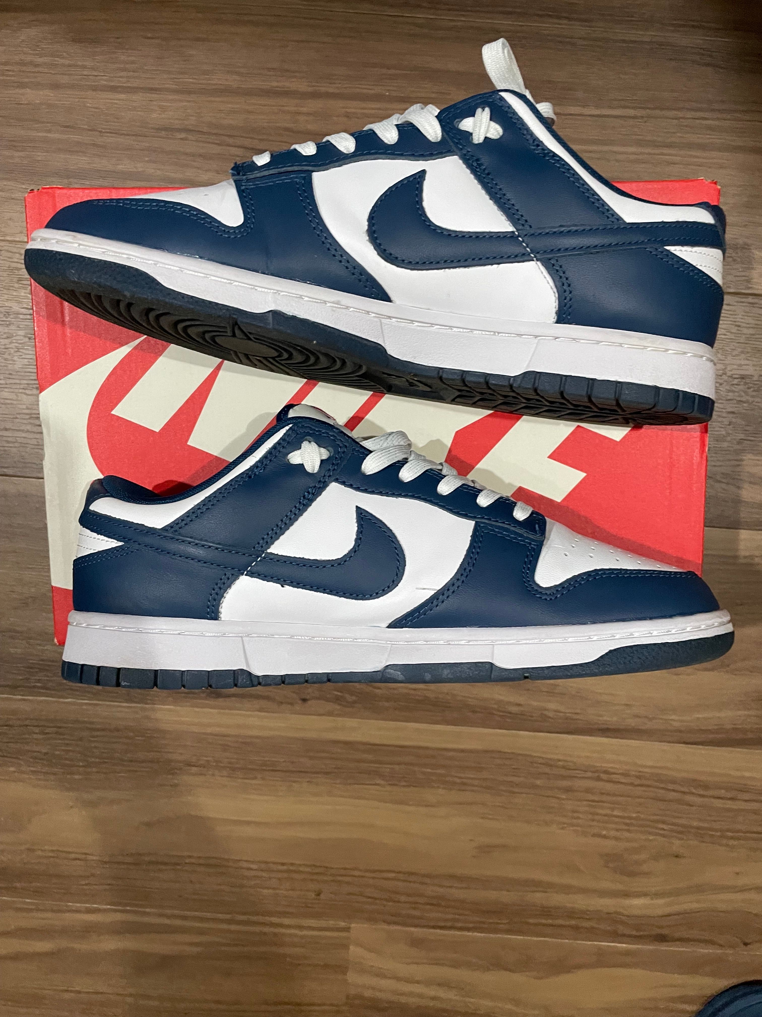 Nike Dunk Low "Valerian Blue"
