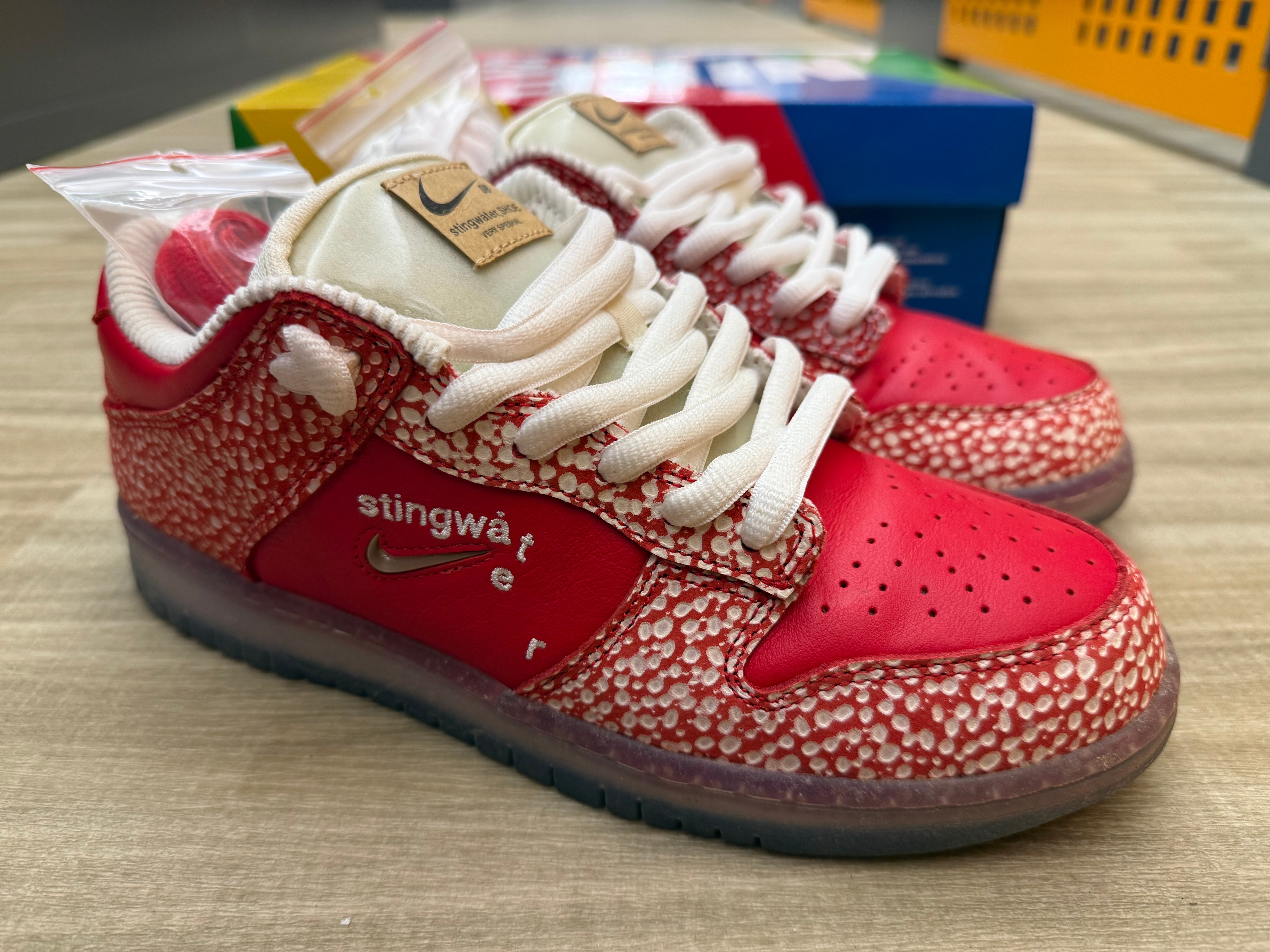 Stingwater × Nike SB Dunk Low "Magic Mushroom"