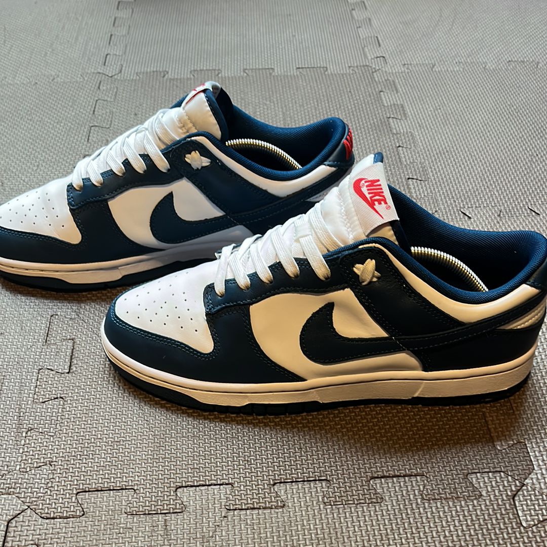 Nike Dunk Low "Valerian Blue"