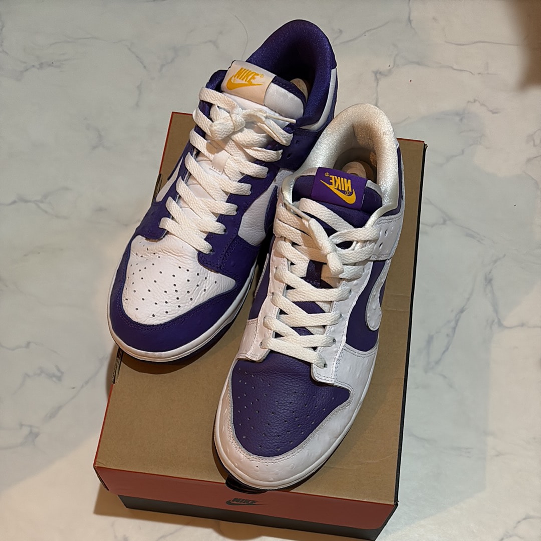 Nike Women's Dunk Low 