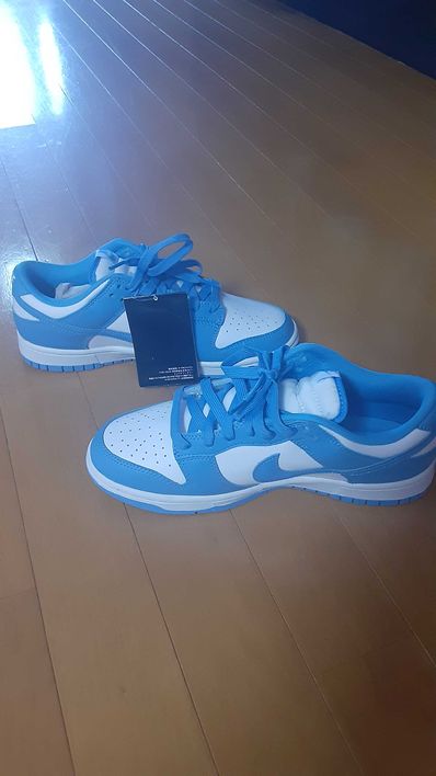 Nike Dunk Low "University Blue"