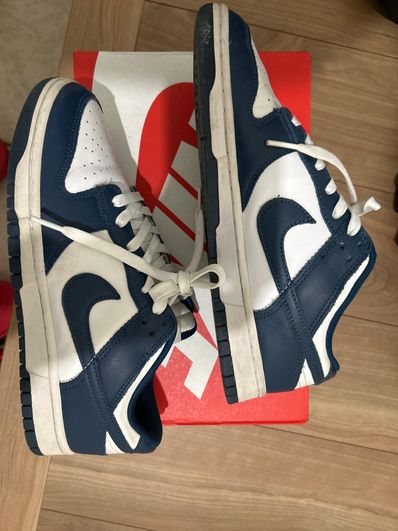 Nike Dunk Low "Valerian Blue"