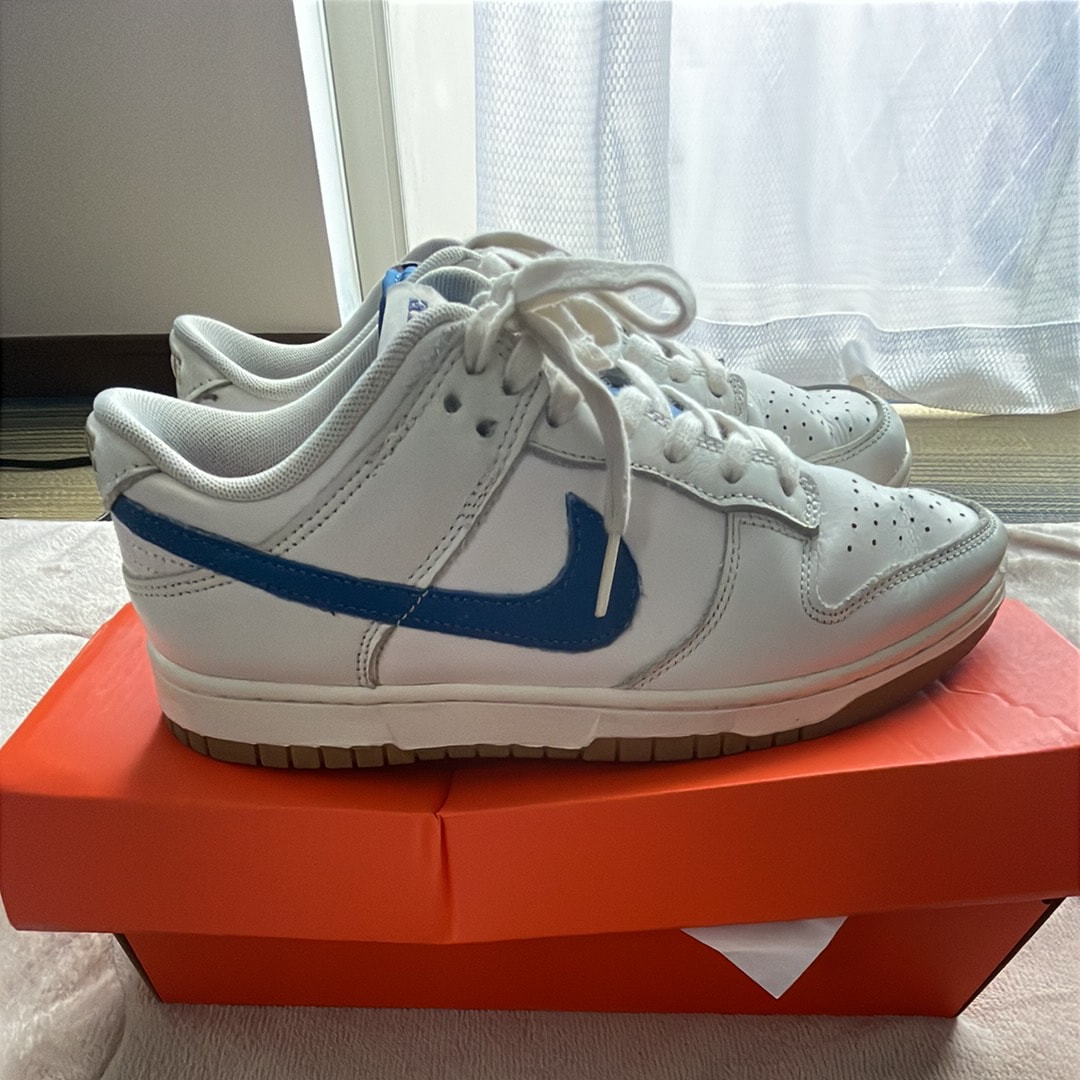 Nike Dunk Low SE "Royal and Gum"