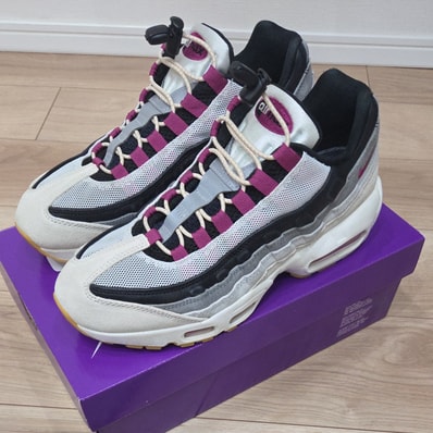 Nike SB Air Max 95 "Summit White/Cactus Flower"