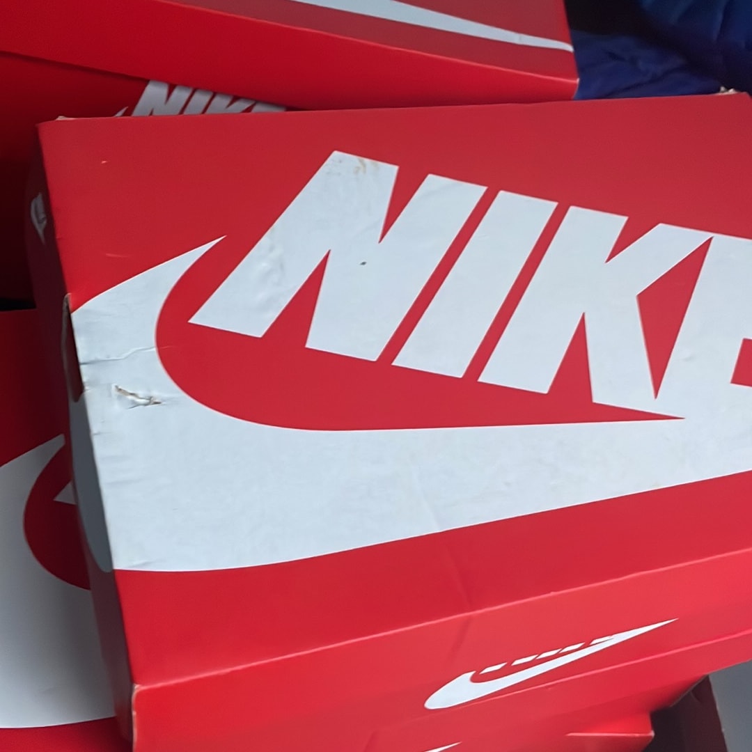 Nike Dunk Low "Valerian Blue"