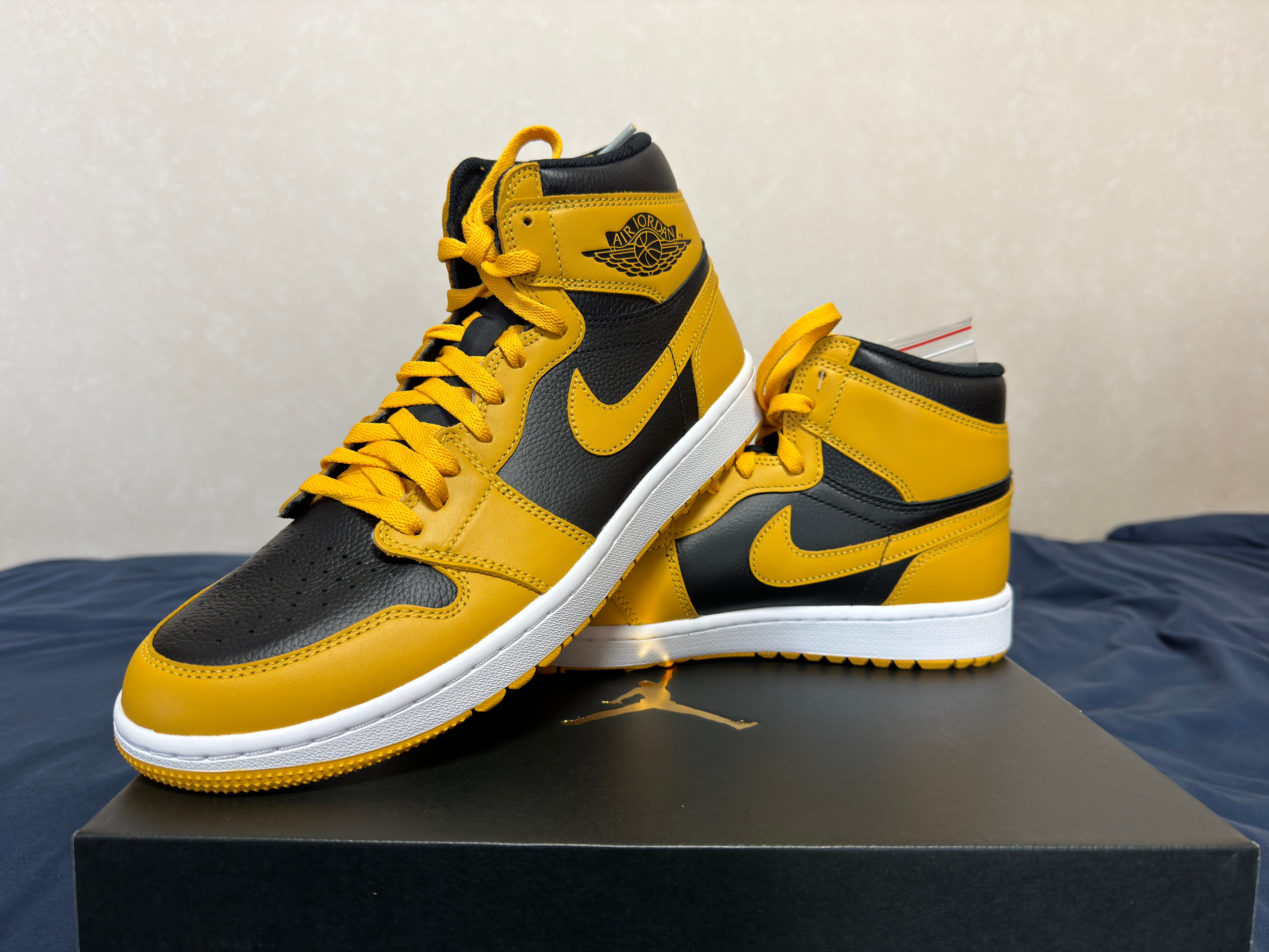 ナイキ エアジョーダン1 ハイ ゴルフ "パラン"