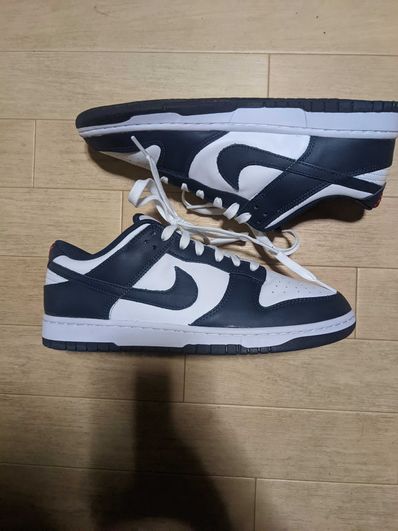 Nike Dunk Low "Valerian Blue"