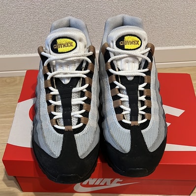 Nike Air Max 95 "Icons"