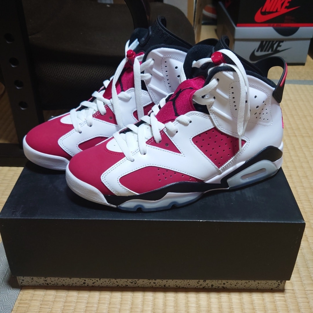 Nike Air Jordan 6 "Carmine" (2021)