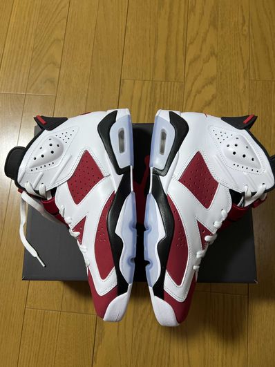 Nike Air Jordan 6 "Carmine" (2021)
