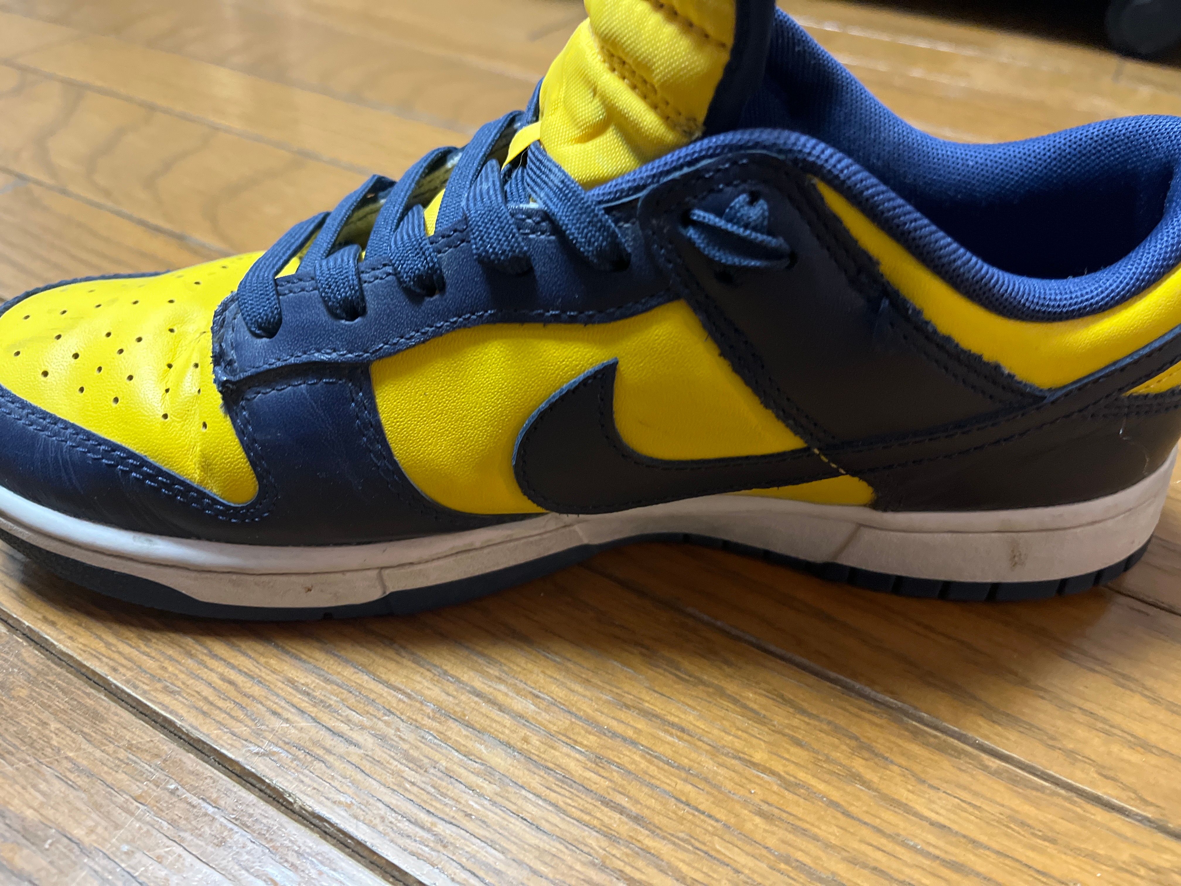 Nike Dunk Low "Michigan"