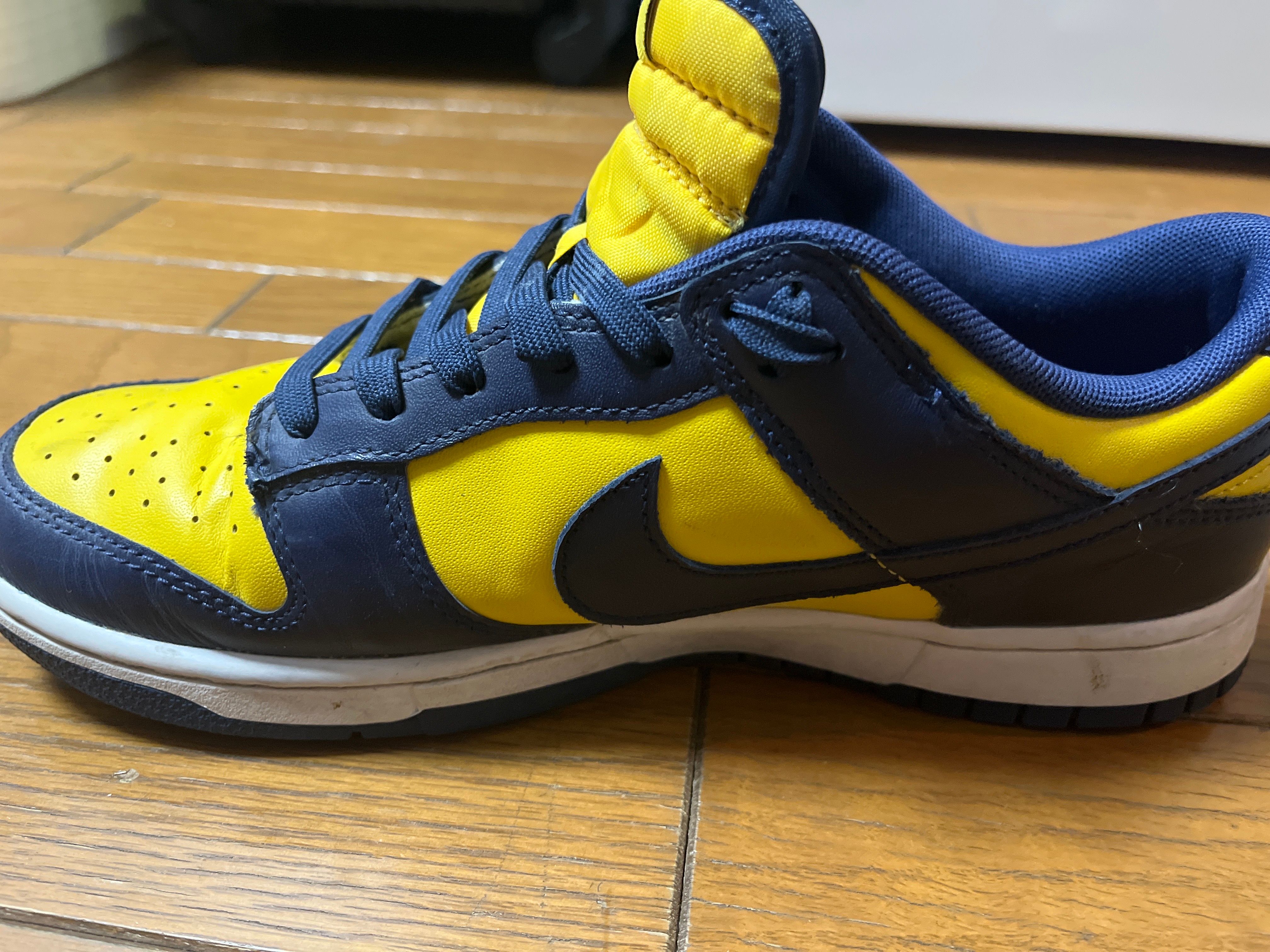 Nike Dunk Low "Michigan"