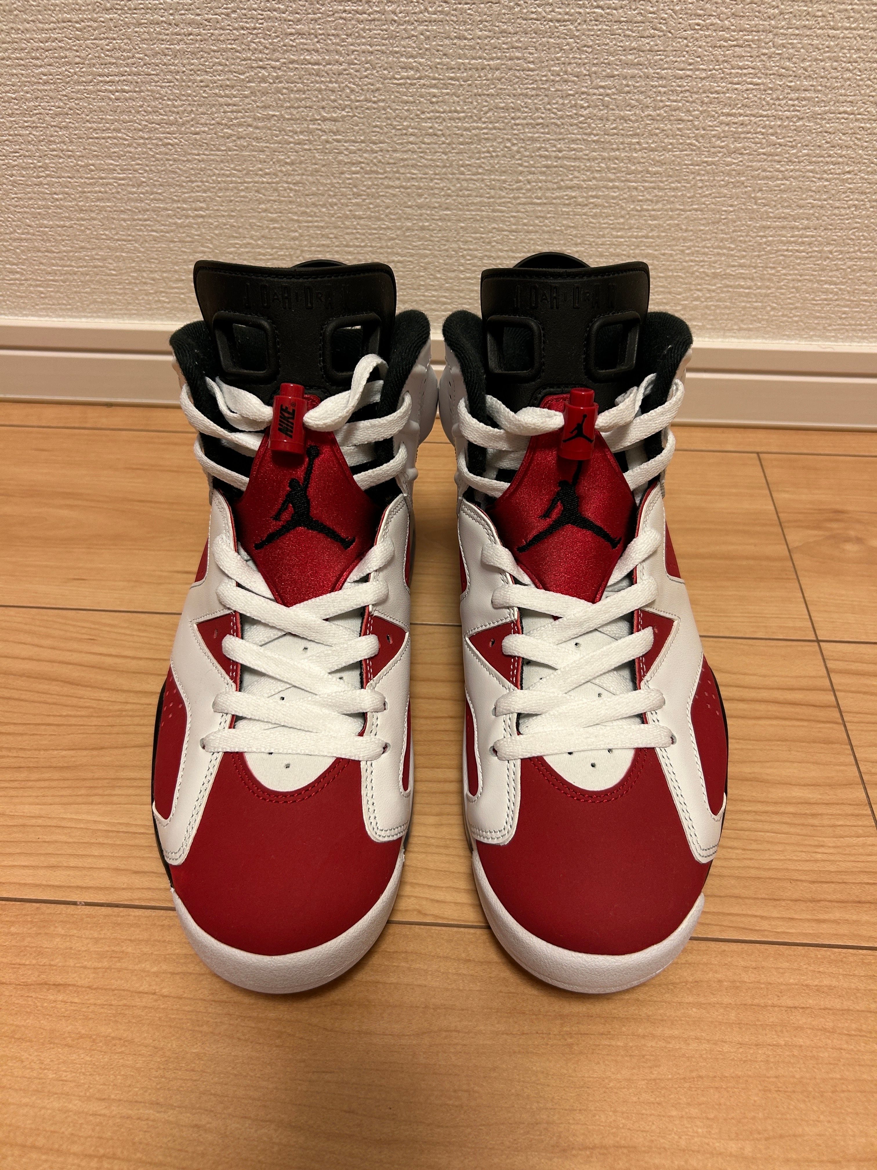 Nike Air Jordan 6 "Carmine" (2021)