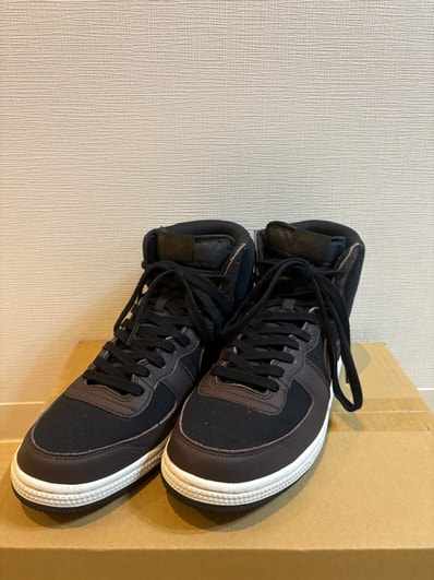 Nike Terminator High "Velvet Brown"