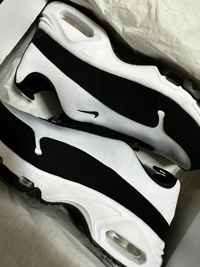 Nike air 2025 sunder max 2000