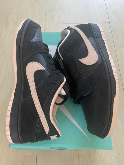 Nike SB Dunk Low PRO "Black/Washed Coral"