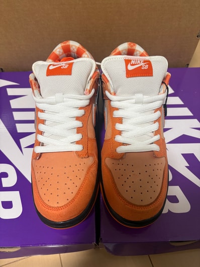 Concepts × Nike SB Dunk Low SP "Orange Lobster"