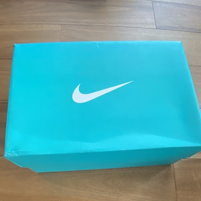 Tiffany & Co. × Nike Air Force 1 Low "1837"