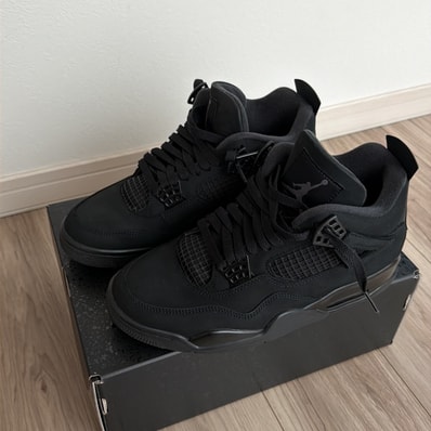 Nike Air Jordan 4 Retro OG "Black Cat" (2025)