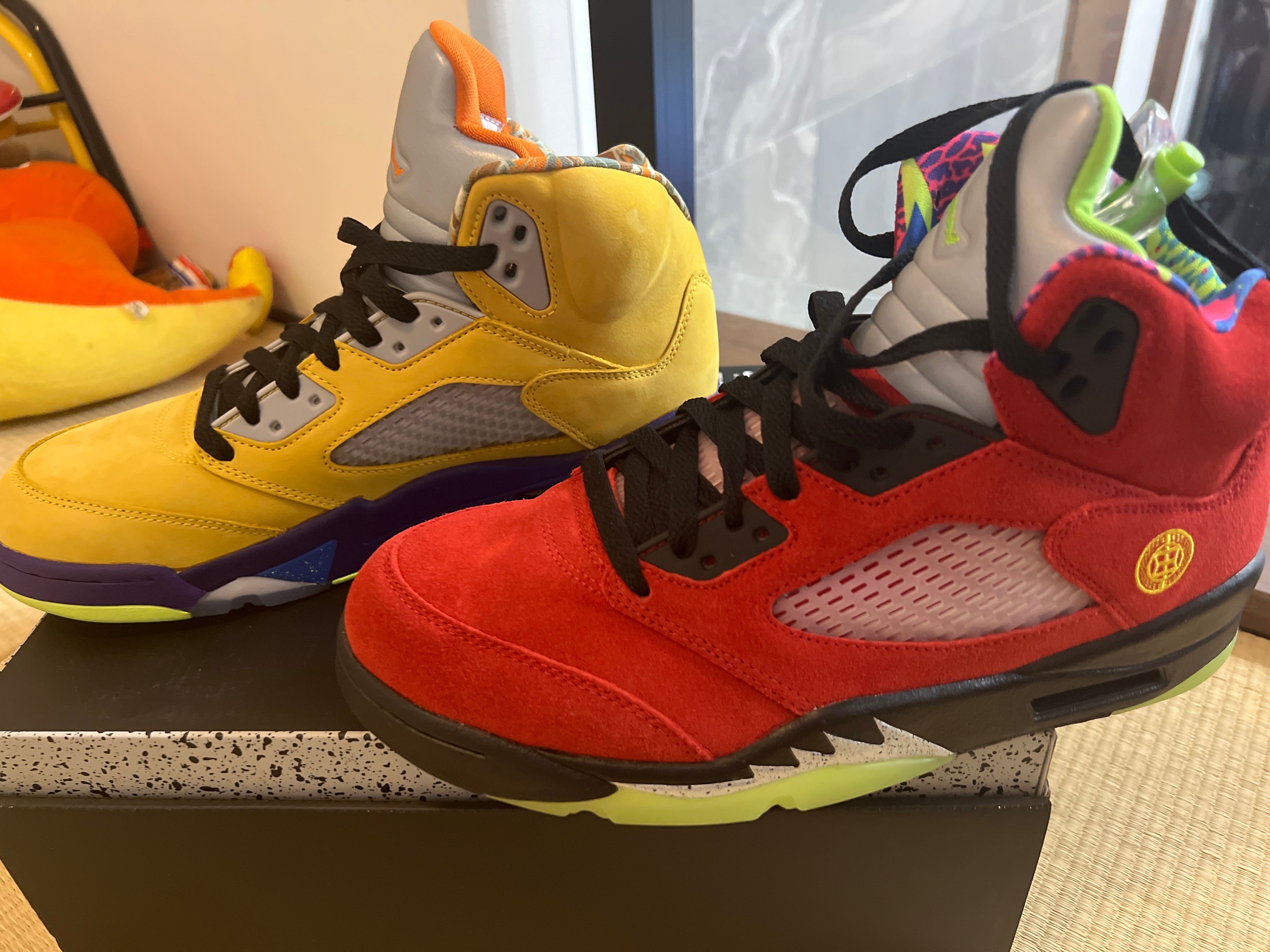 Nike Air Jordan 5 "What The"