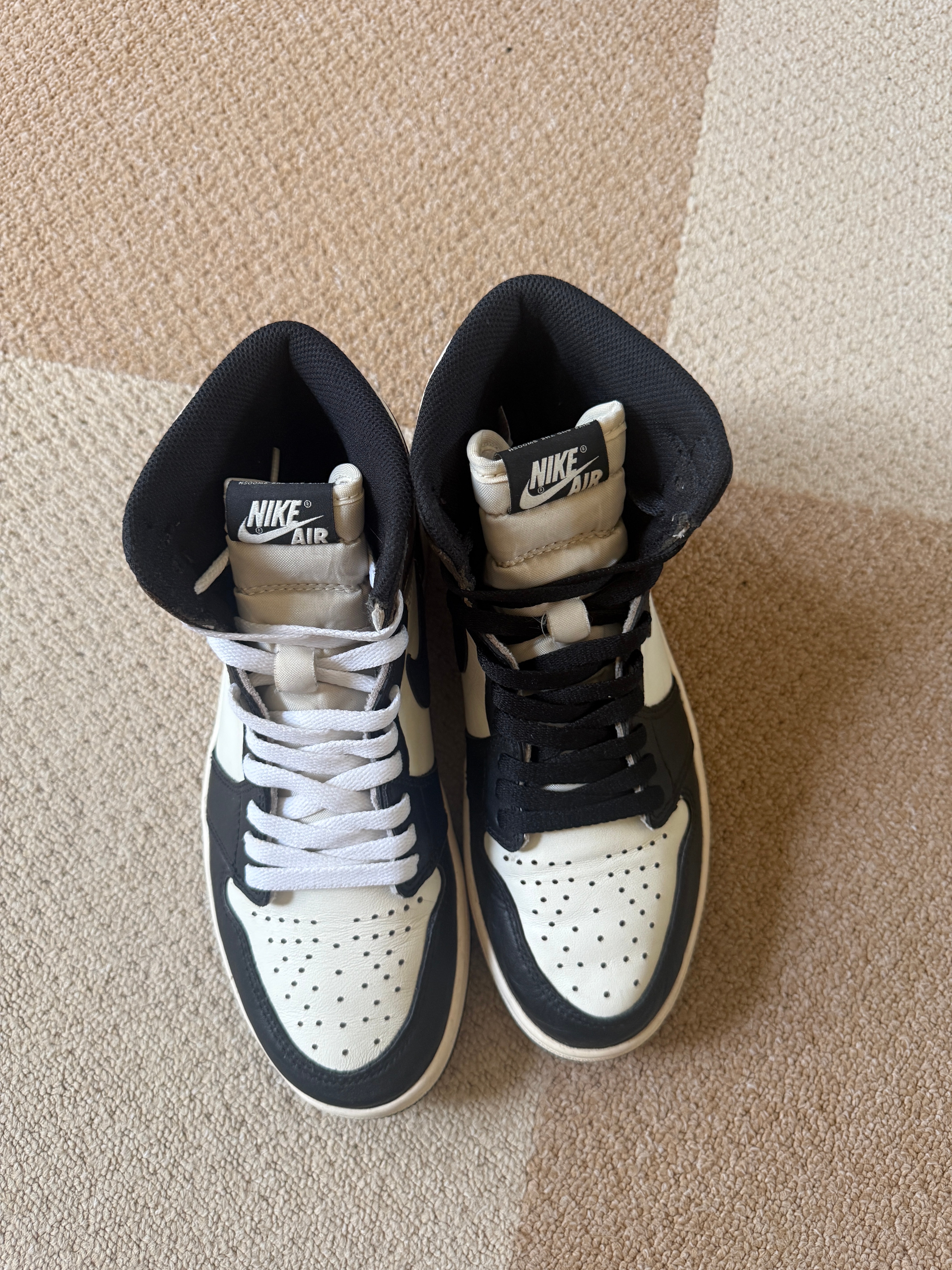 Nike Air Jordan 1 High OG "Sail/Dark Mocha/Black"