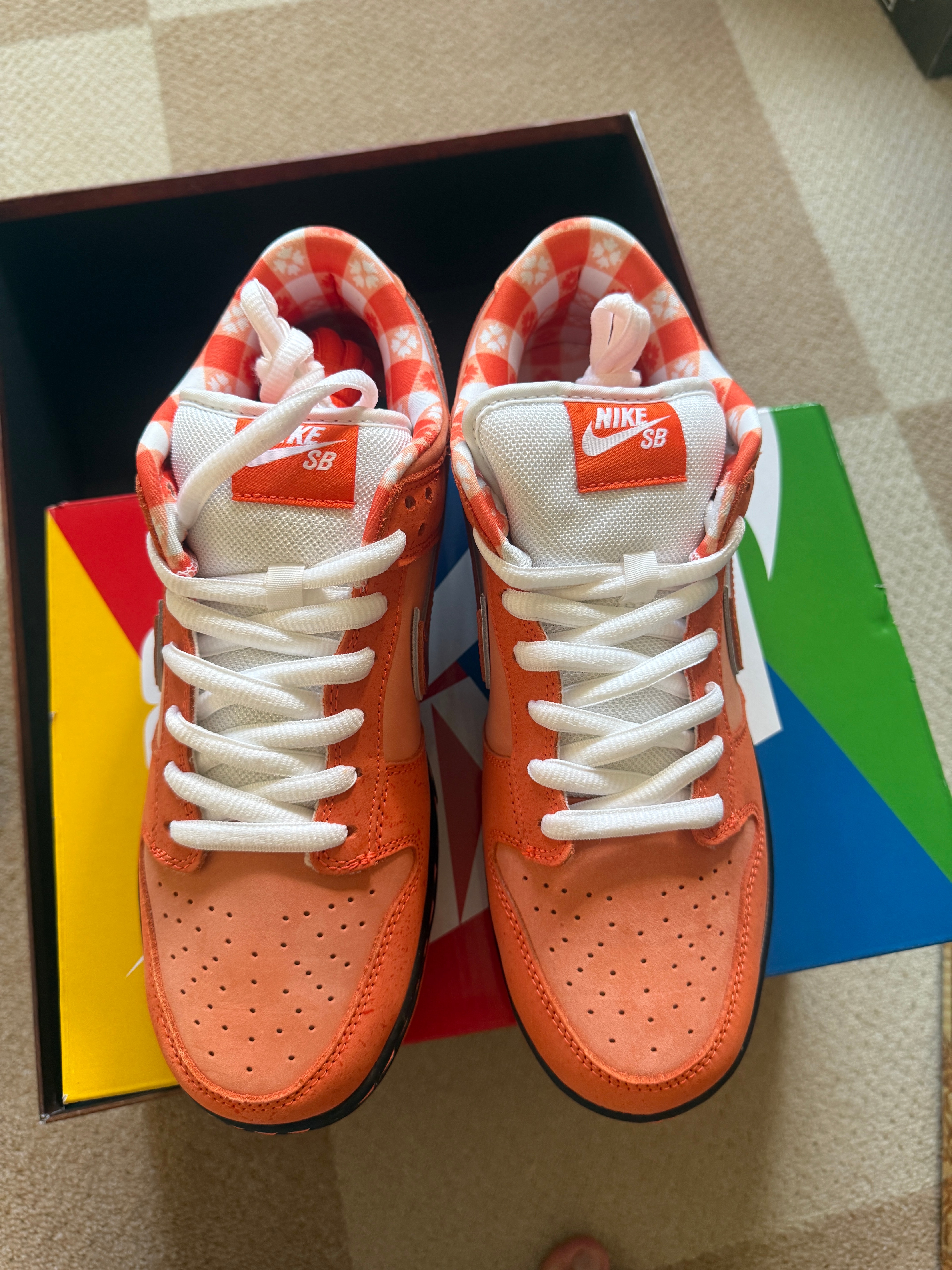 コンセプツ × ナイキ SB ダンク ロー SP 