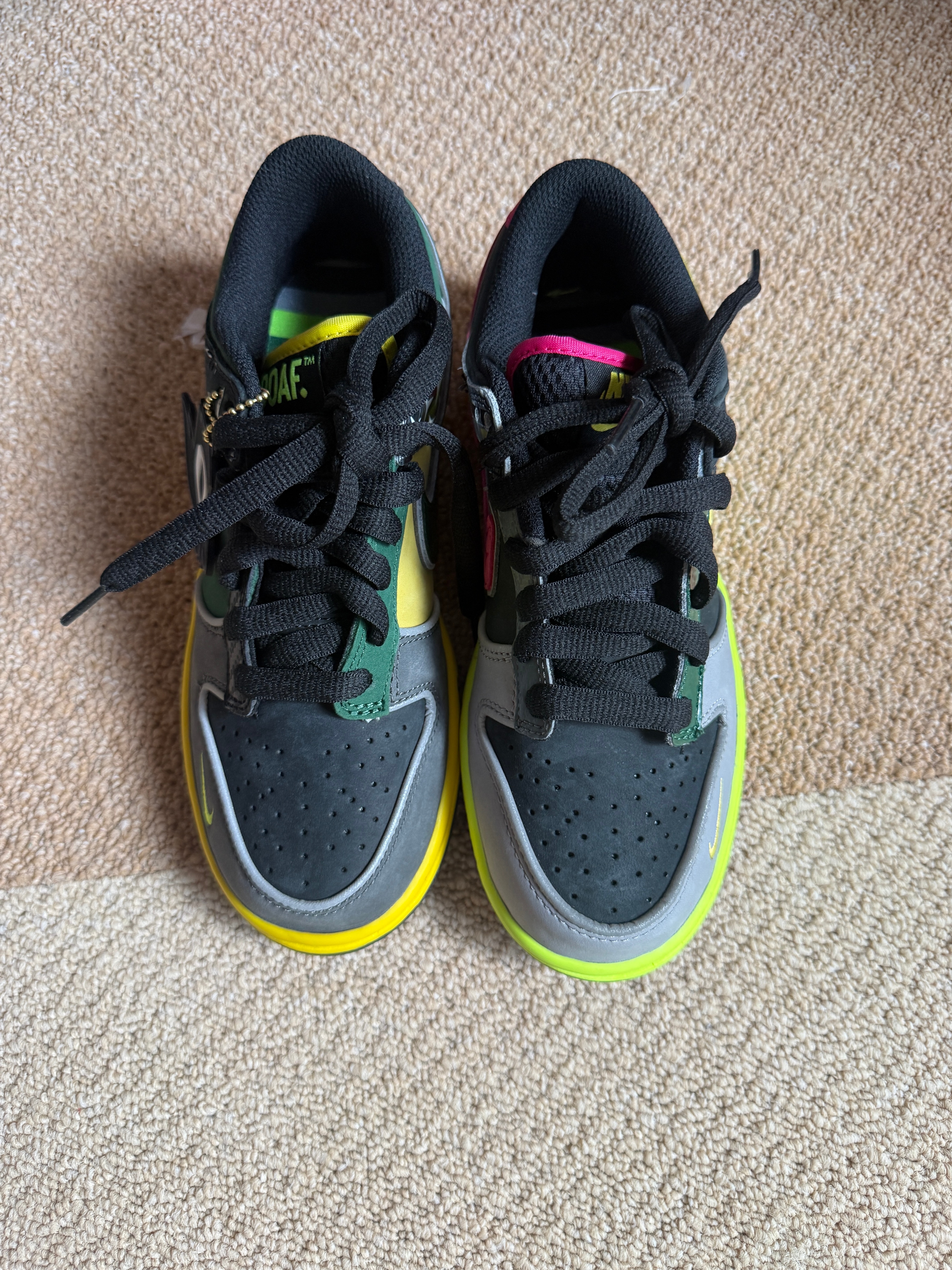 Nike Dunk Low "What The Ducks Home"