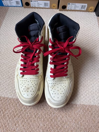 Nigel Sylvester × Nike Air Jordan 1 Retro High OG "Sail"