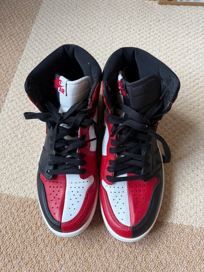 Nike Air Jordan 1 Retro High OG "Homage To Home"