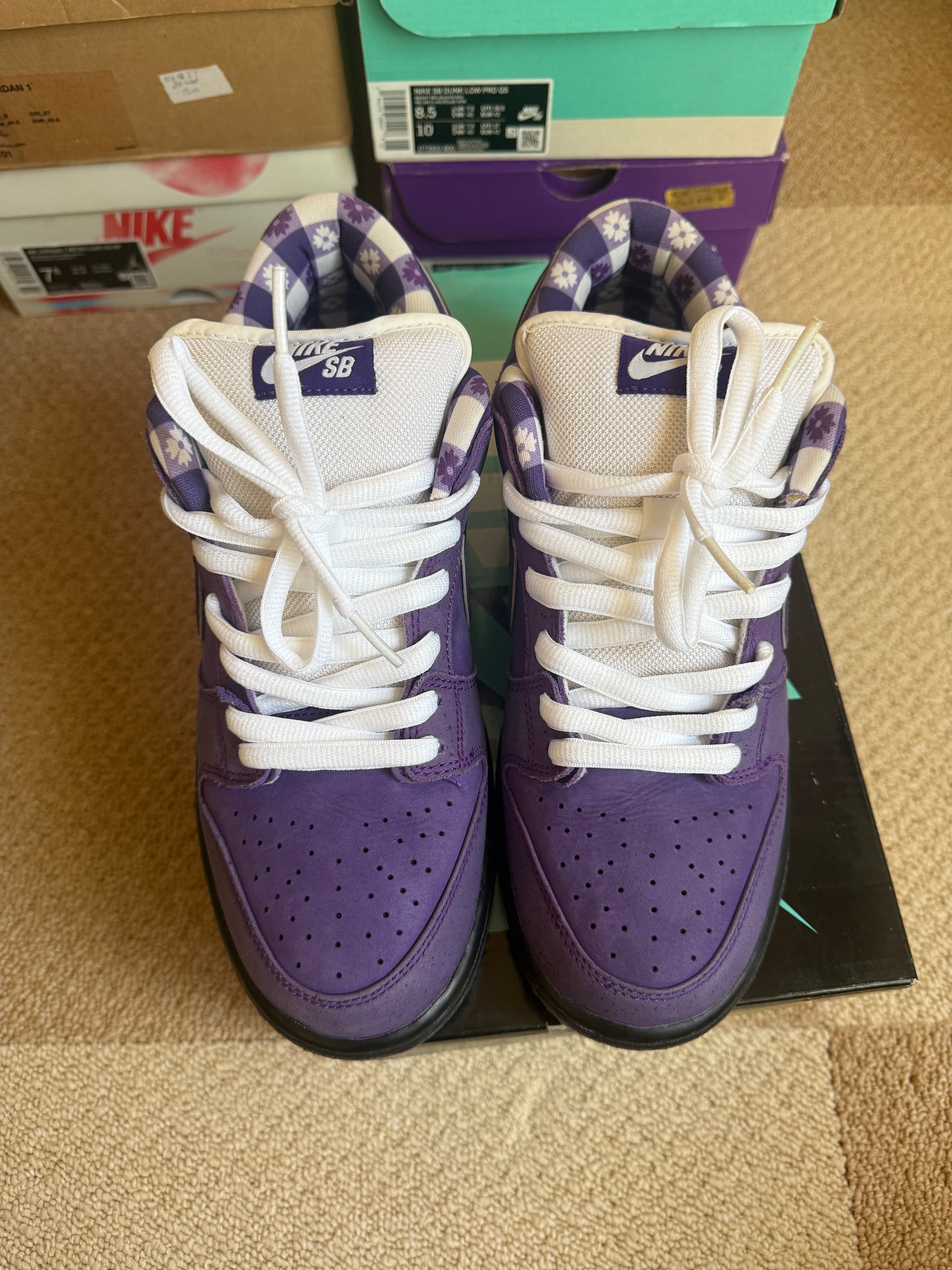 Concepts × Nike SB Dunk Low "Purple Lobster"